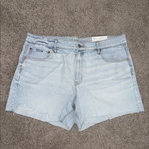 American Eagle Outfitters Light Wash Denim Shorts